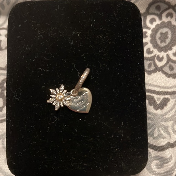 Pandora Charm 🎁 - Picture 4 of 4